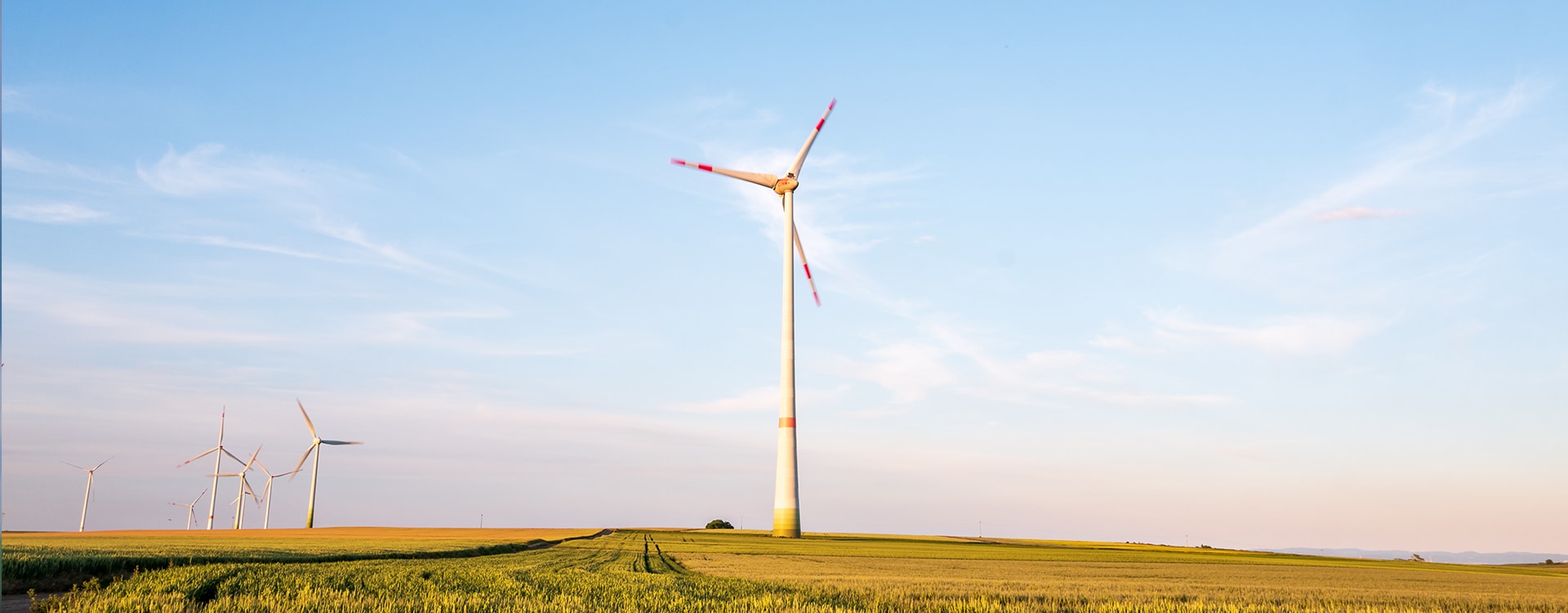 Windräder auf einem großen, weiten Feld